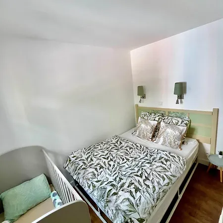 Splendid View In Apartament *