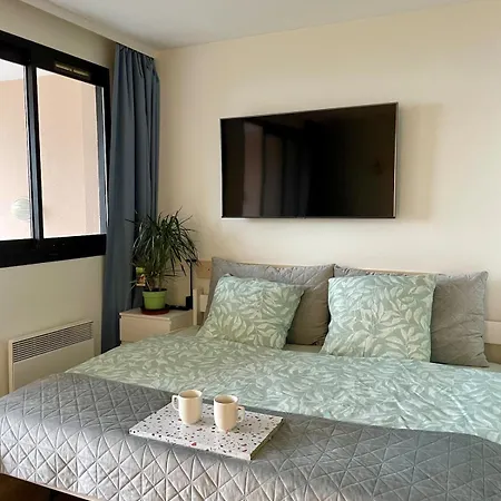 Splendid View In Cannes