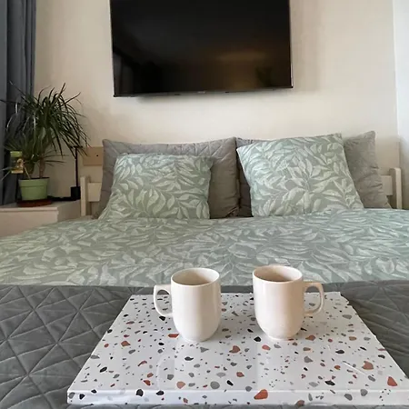 Splendid View In Cannes