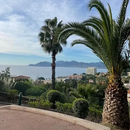 Splendid View In Apartment Cannes