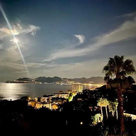 Splendid View In Cannes