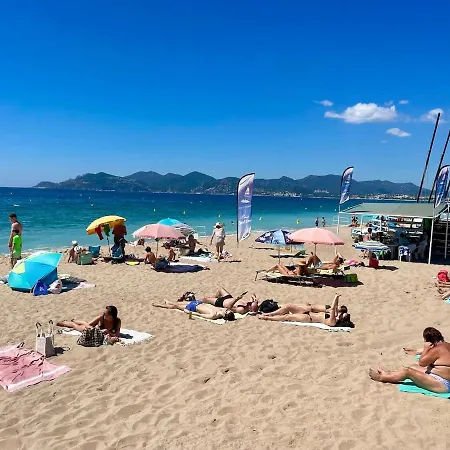 Splendid View In Apartment