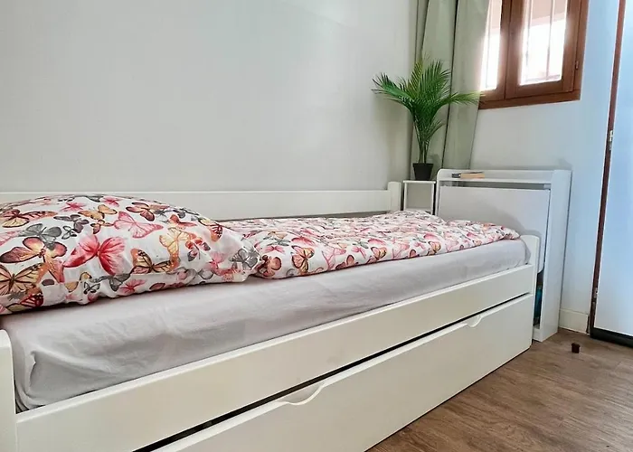 Splendid View In * Cannes