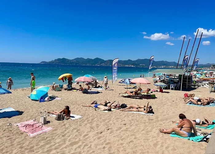 Splendid View In Apartament