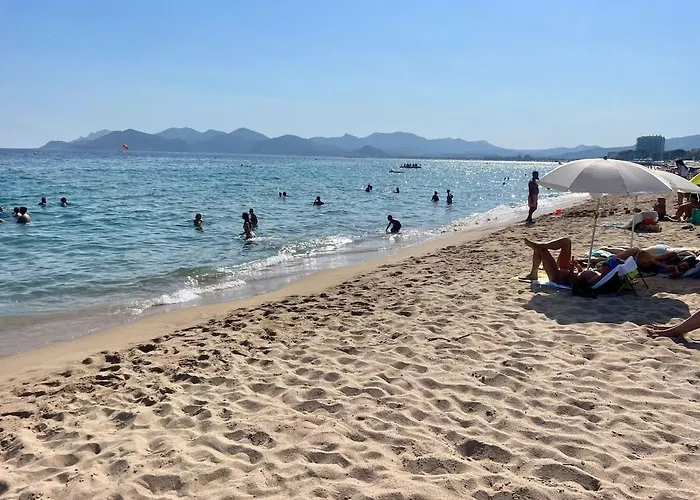 Splendid View In Apartament *